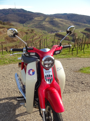 Der Kaiserstuhl, Blick vom Texas-Pass