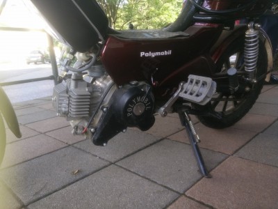 Nummerntafelloses Möpp für den älteren Herrn.