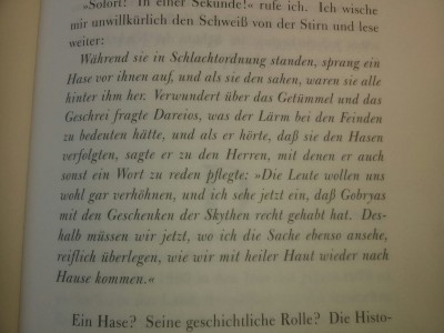 aus meinem Volltreffer Reisebuch "Meine Reisen mit Herodot."