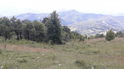 BiH ist bis Juli grad so grün wie Vietnam.