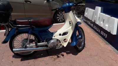 Die letzte Underbone in AL.