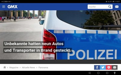 lt. Statistik verbrennen 44 Autos in DE. Tag für Tag.