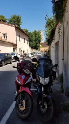 Unsere Weggefährten in Pisa