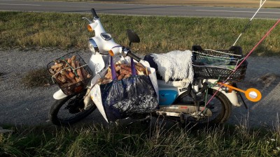 Der totale Krieg gegen Erderwärmung, Anstieg des Meeresspiegels und Verwüstung der Steppen. Ein Inder wäre mit dem Fahrrad gefahren, Bangla Deshi's zu Fuss gegangen.