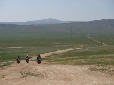 Die Mongos im Sommer 2015.