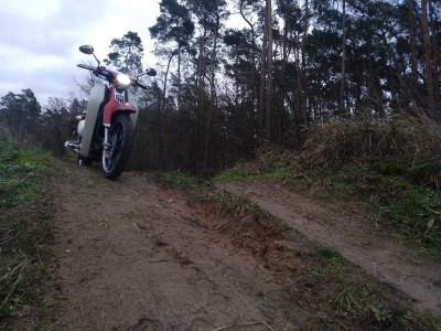 Auf dem Sprunghügel