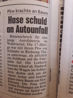 Man soll nicht schneller fahren, als man denken kann!