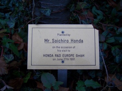 hondabaum.jpg