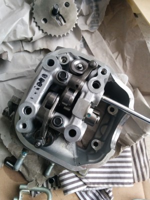 der kopp vom freundlichen