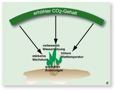 co2-einfluss.jpg