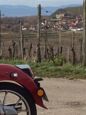 Burgruine Burkheim.JPG