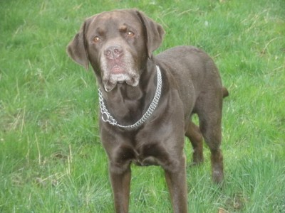 thumbnail_März 2017_4A.jpg