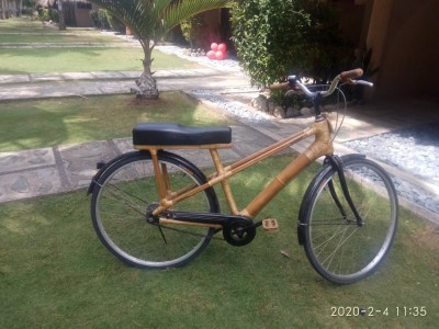 Bamboo-Bicycle.jpg