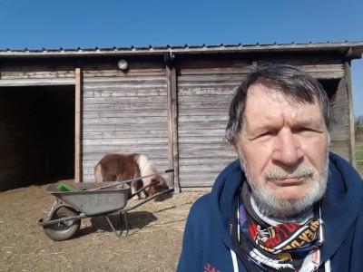 Äpfel klauben im Frühling.