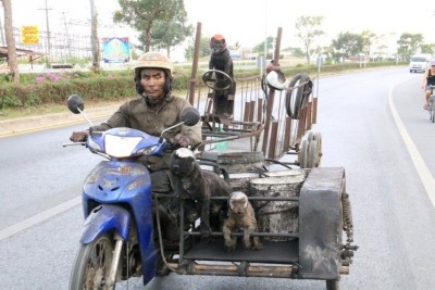 Immer schön Helm tragen..Hunde auch..
