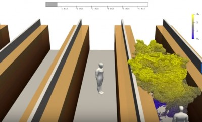 der Pfad des Virus.JPG