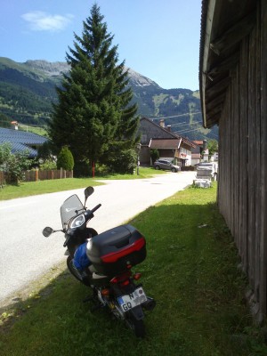 Hinter dem Baum liegt die Zugspitze