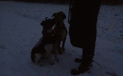 IMG_2378 - Kopie.JPG