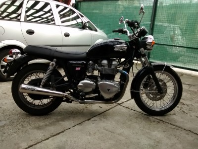 Meine alte Bonnie, durch den Zaun kann man auch meinen Colt (auch Bambusratte genannt) sehen