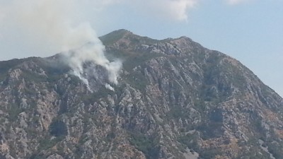 (m) ein kl. Waldbrand in MNE.
