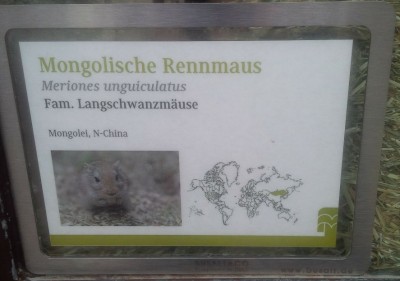Rennmaus-Schild.jpg