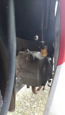 Präservativ durchsichtig