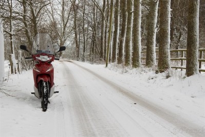 Winter-Schlepper-Treffen 3.jpg