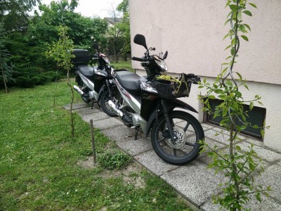 I [∆¥£ Körbchen