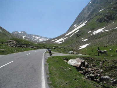 IMG_7376 (Mittel).JPG