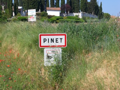 Pinet