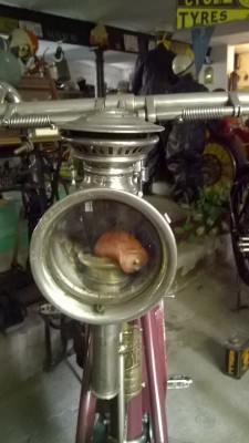 Beleuchtung noch vor LED aber legal