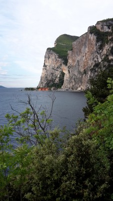 Seeufer Gardasee