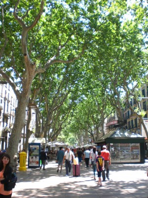 Eine der berühmtesten Straßen der Welt.